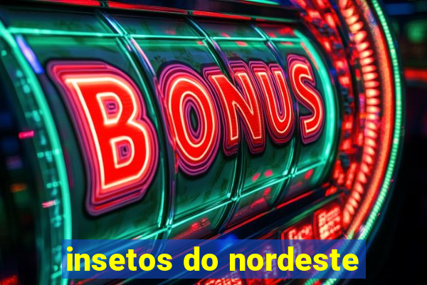 insetos do nordeste